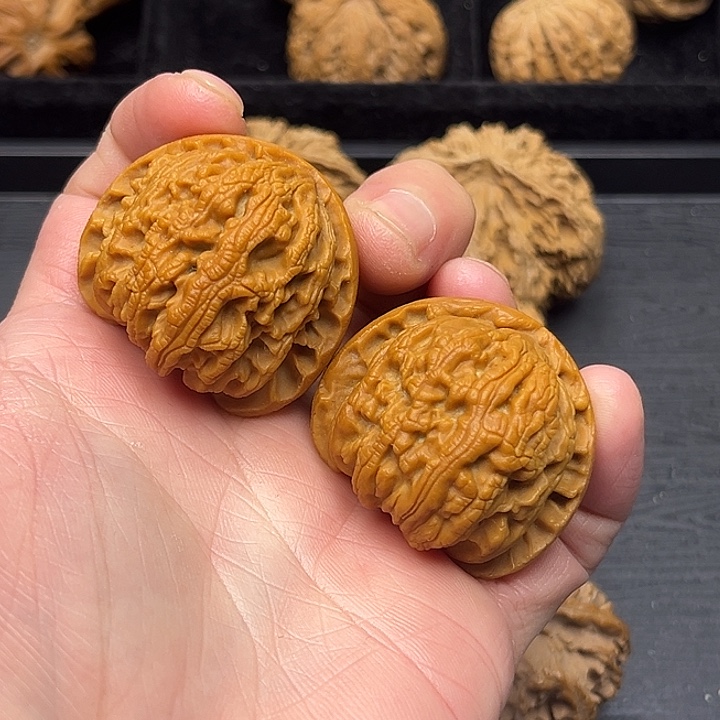 木质类秦岭突突突突突突突