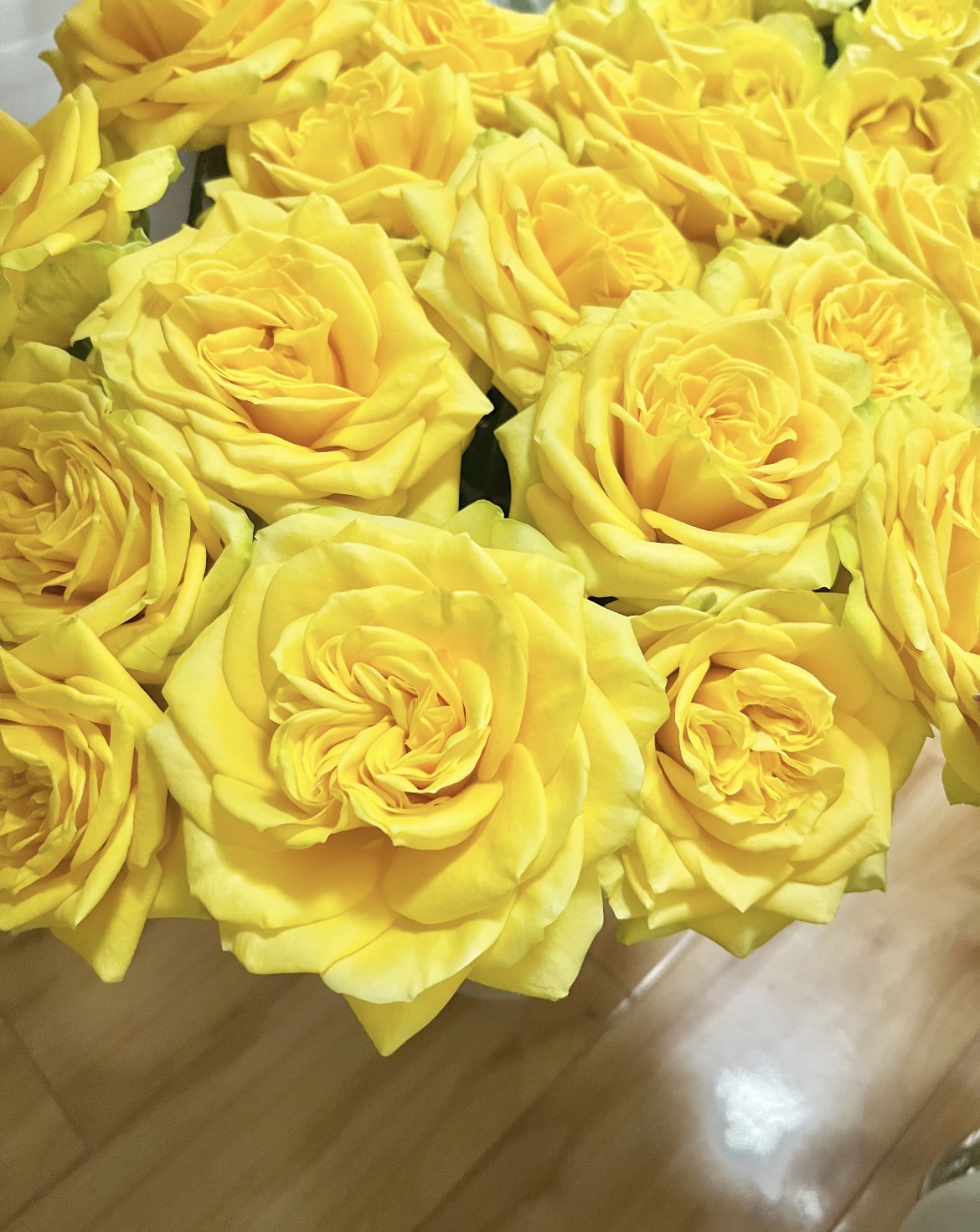 【浪漫沙滩】云南直发一单包邮2单升级顺丰送配草