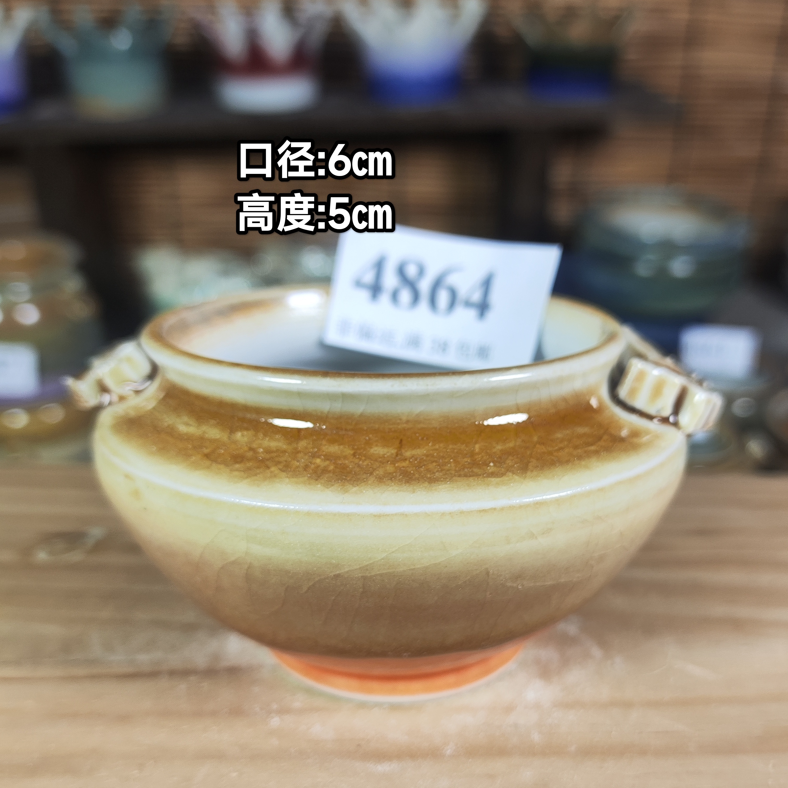 手工创意多肉花盆摆件迷你多肉花盆景德镇纯手工制做