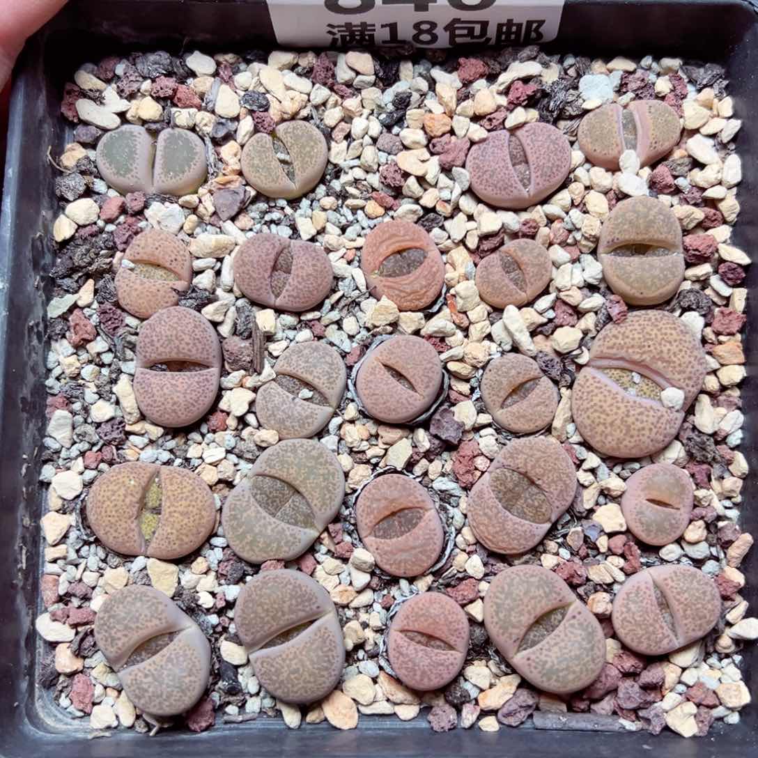 【闪购商品】846….