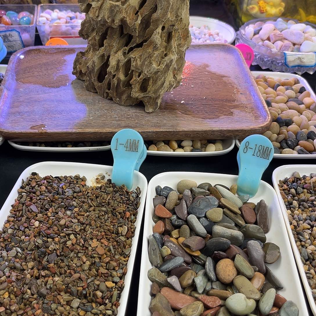 纯天然的松皮石一物一拍
