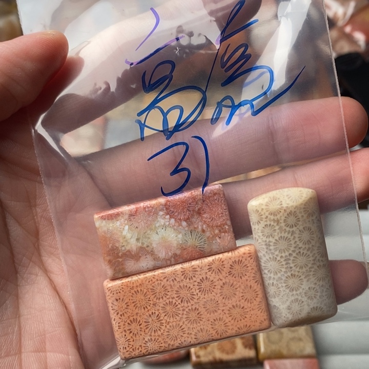 高***6未镶嵌珊瑚玉硅化玉