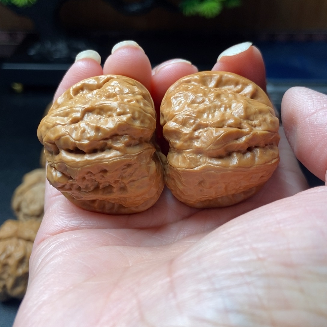 文玩核桃把件蛤蟆头37