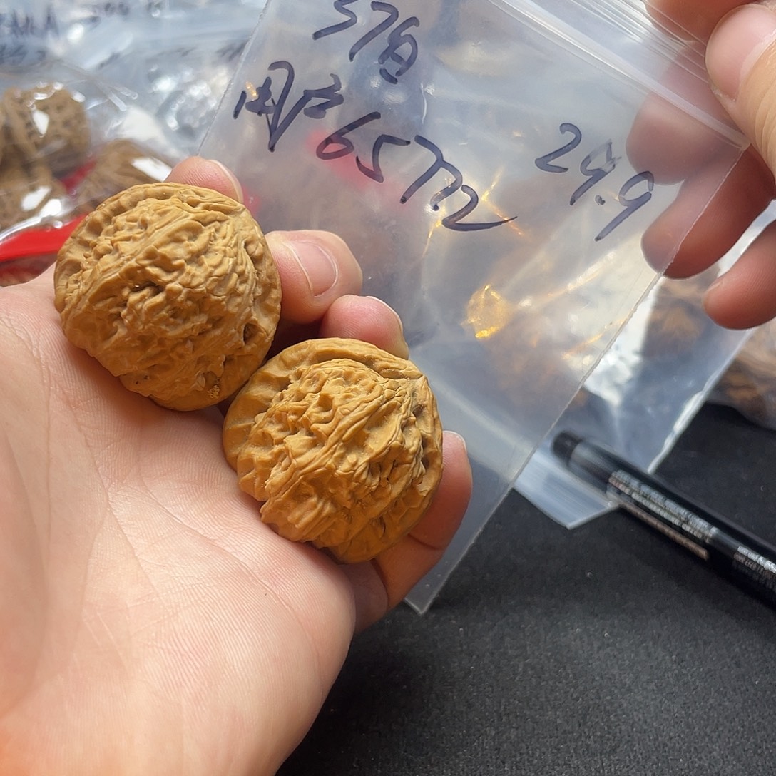 用***1文玩核桃把件白狮子