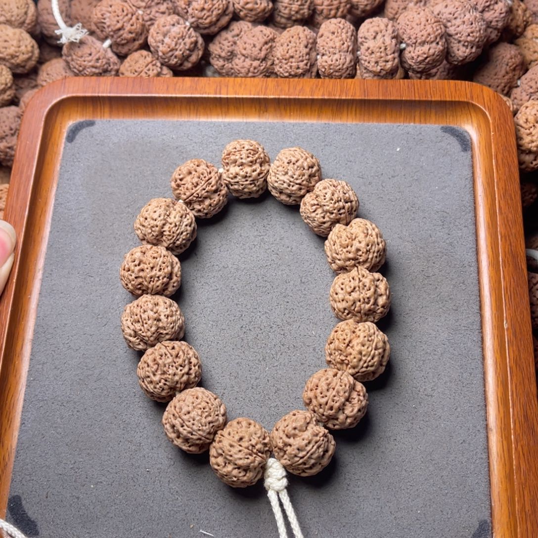 特***&菩提籽类31号金刚菩提梁梅花21