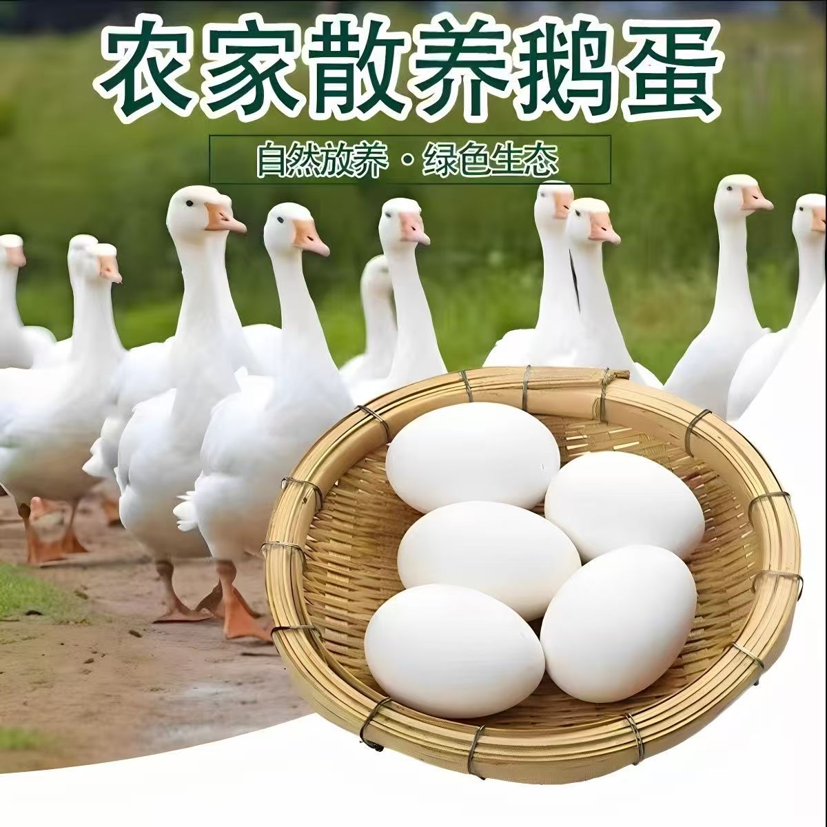 农家散养新鲜土鹅蛋现捡现发孕妇放心吃大个鹅蛋