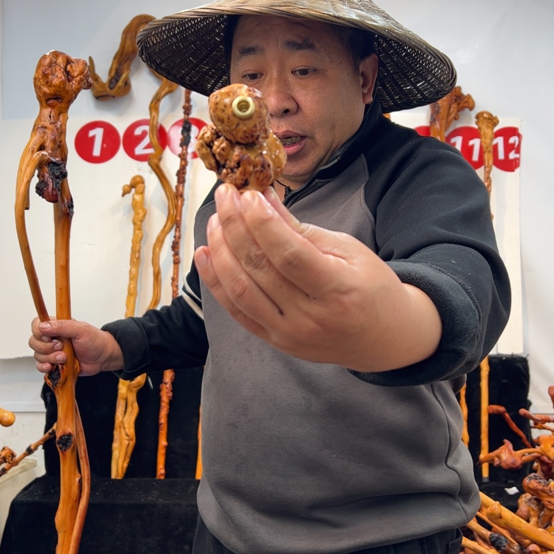 辉***其他黑果木黑果木888