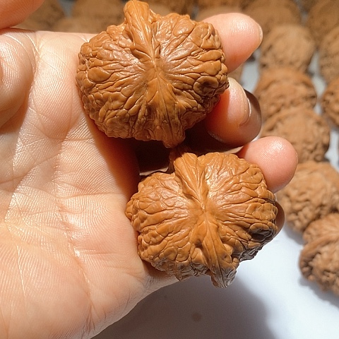 吊坠文玩核桃L****i血麒麟