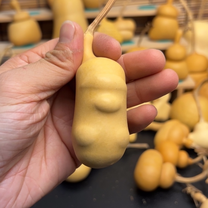 年**鱼葫芦葫芦葫芦葫芦葫芦葫芦