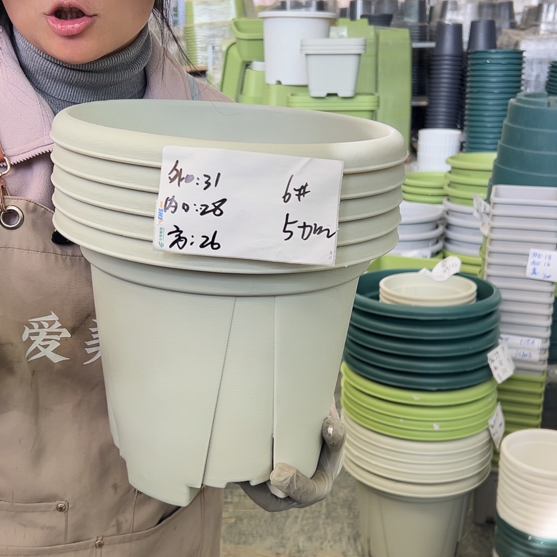 青山盆6#米白色5个无托