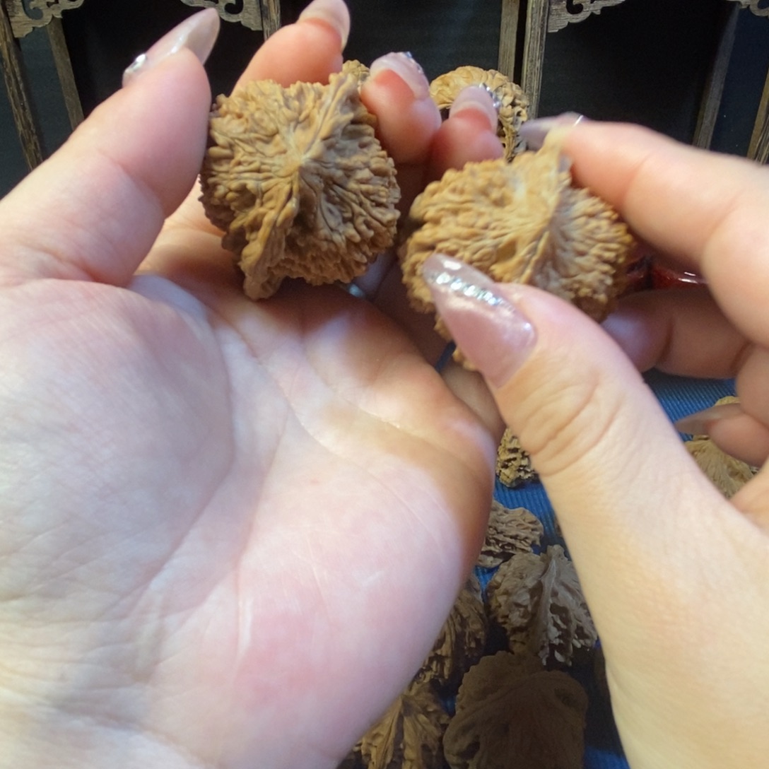 核桃全品无修满天星