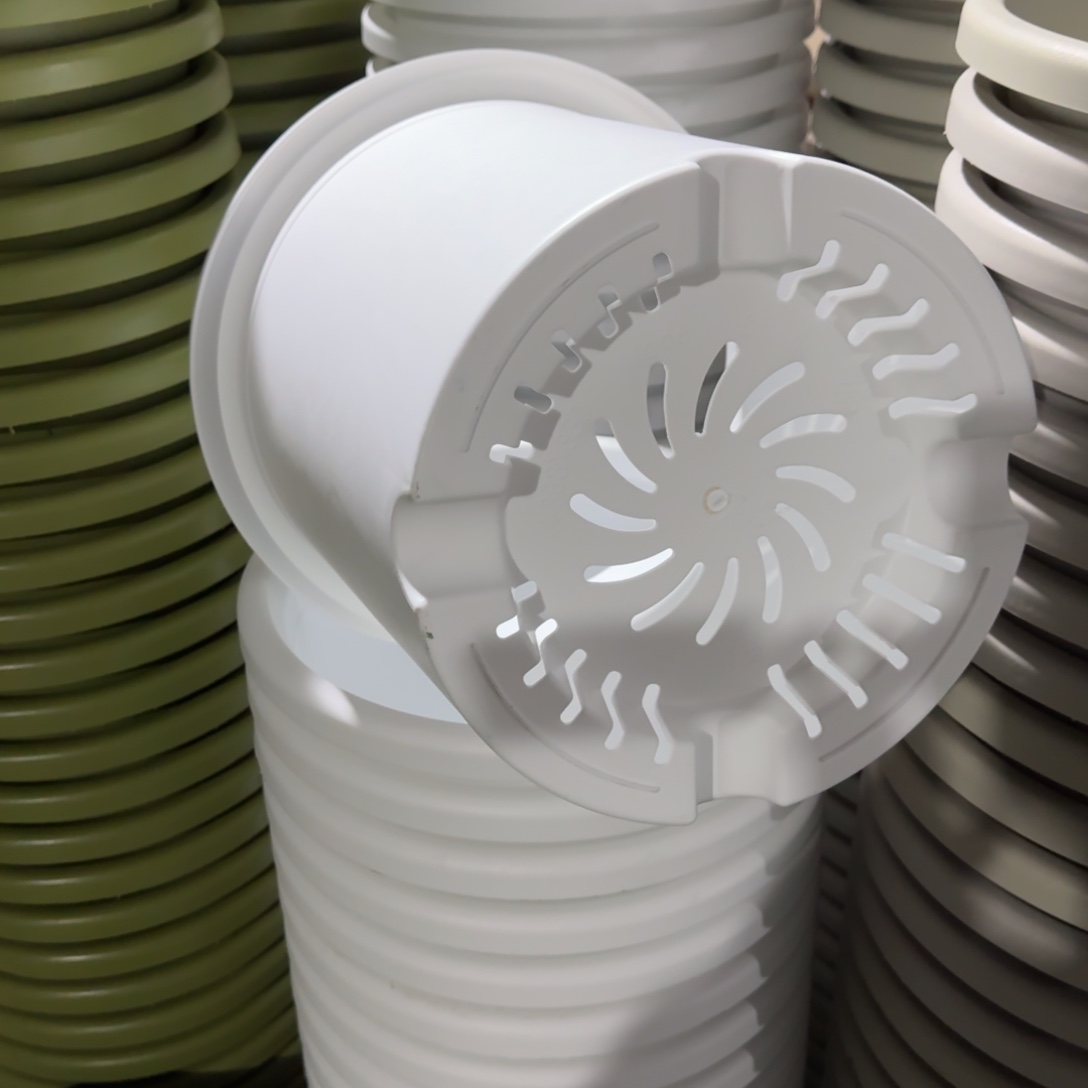 树脂四季7号7个白色的