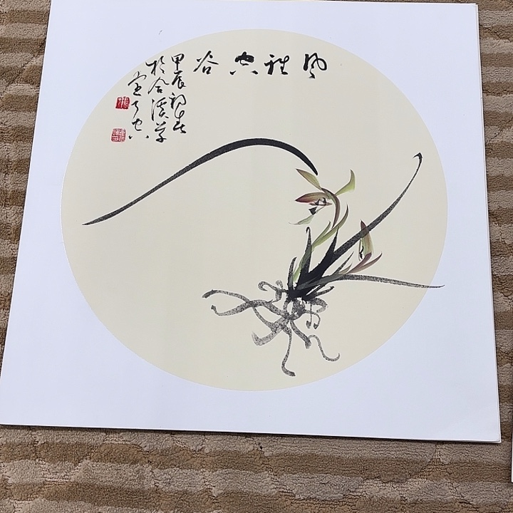 国画花鸟等多种鸟类和鸟类