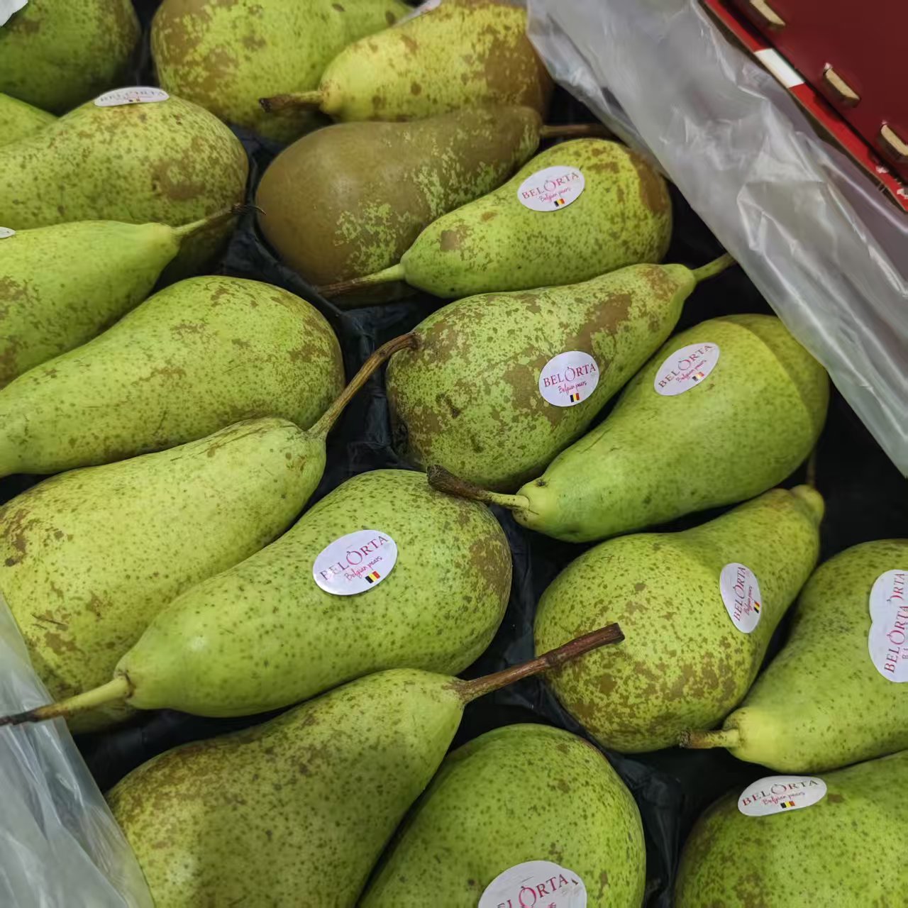 比利时梨比利时啤梨(坏果包赔)