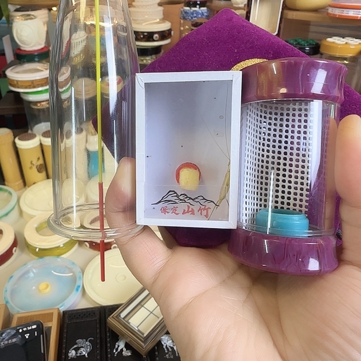 紫色掌中宝竹蛉套➕山竹666666