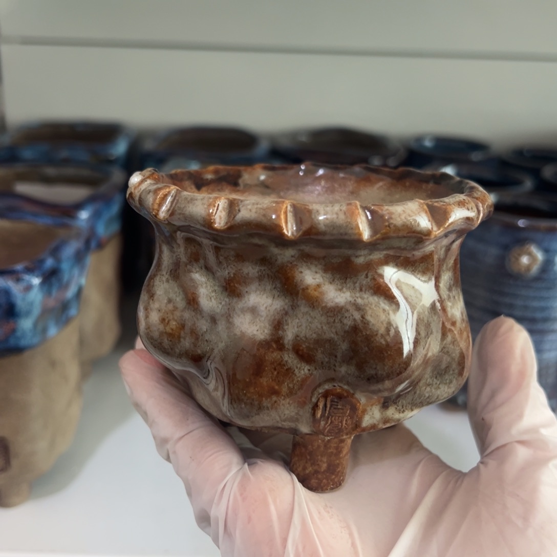 红陶唐朝多肉花盆