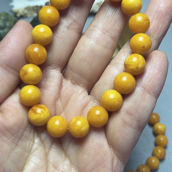 大果紫檀（缅甸花梨）