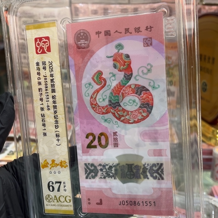 塑料67分金马豹子5标十050861551