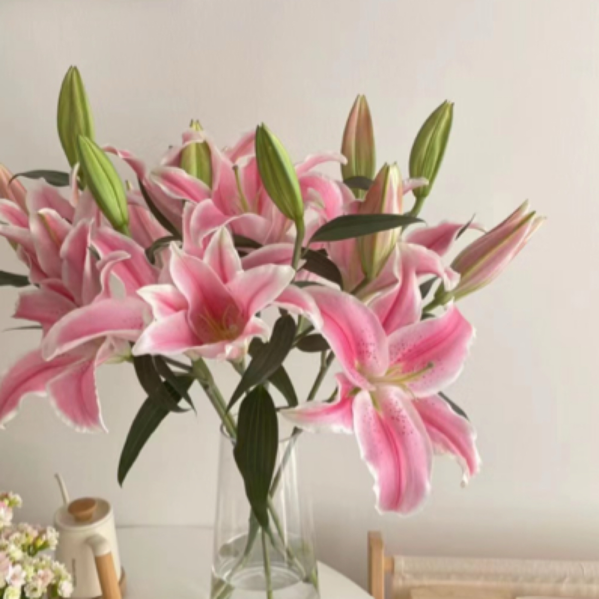 【狐尾百合】香水百合，5支，10头