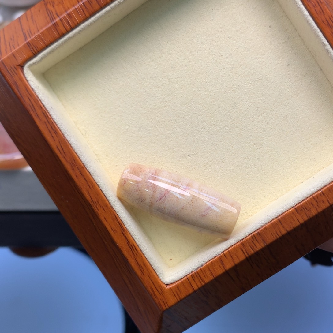 硅化珊瑚（珊瑚玉）颈饰未镶嵌虫纹