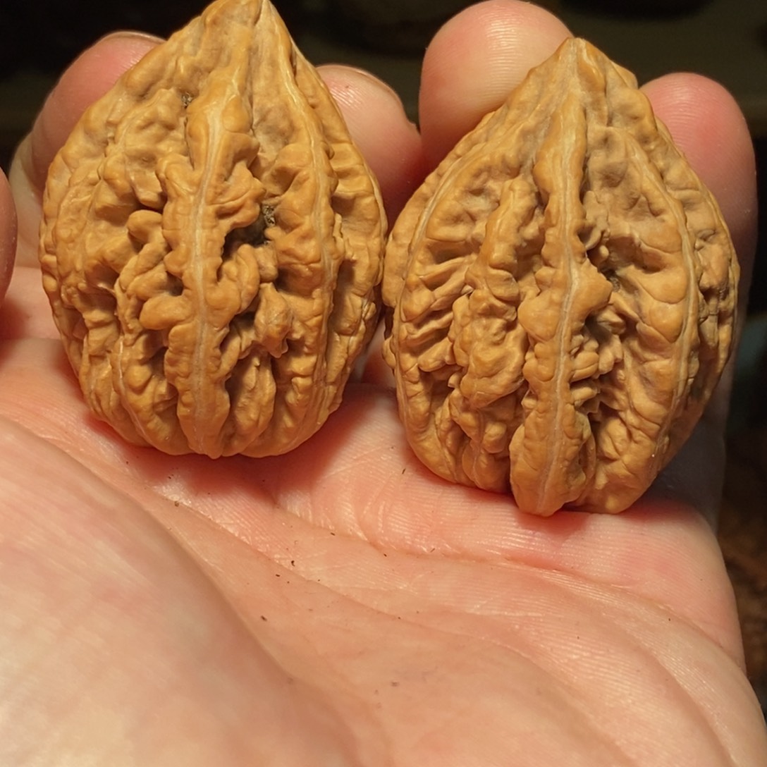 文玩核桃吊坠火龙纹精对