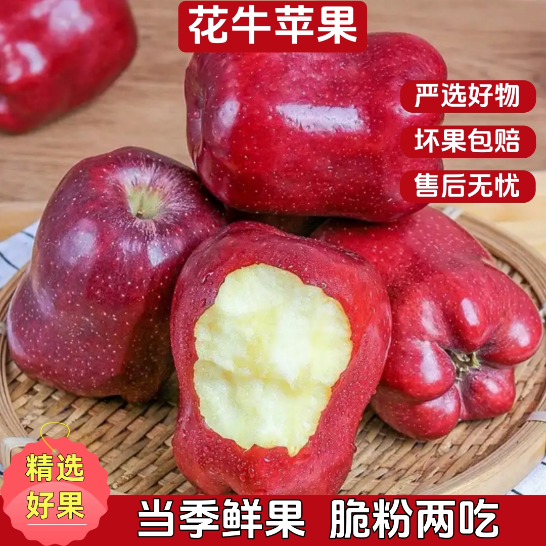 【脆粉两吃】正宗花牛苹果香甜可口新鲜当季应季现摘现发