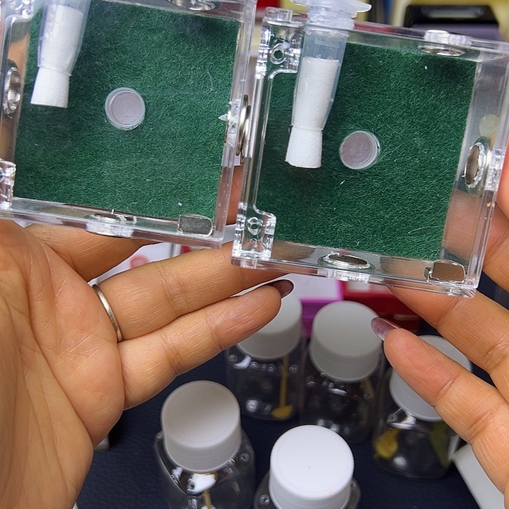 无虫哈哈哈哈哈哈哈哈哈哈哈哈