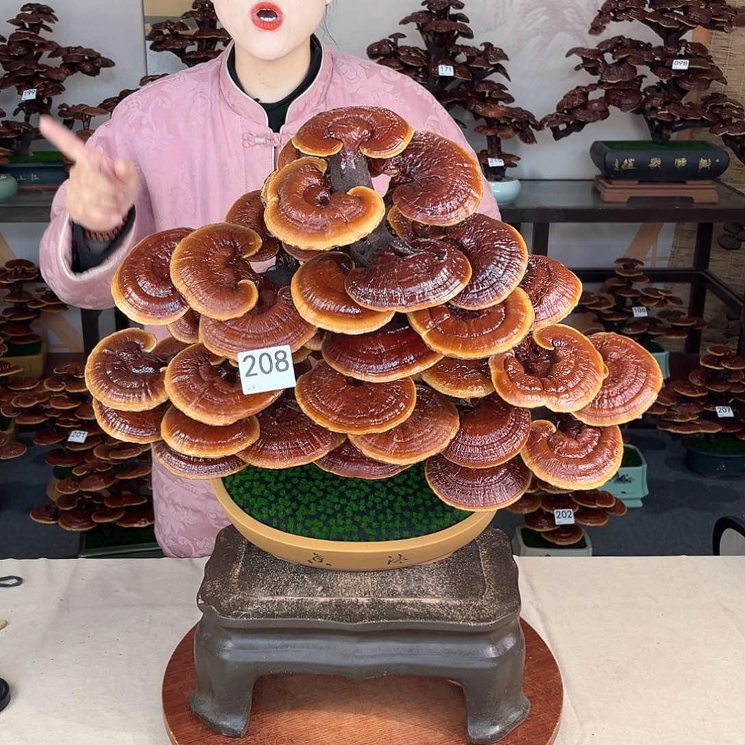 万事如意888888208