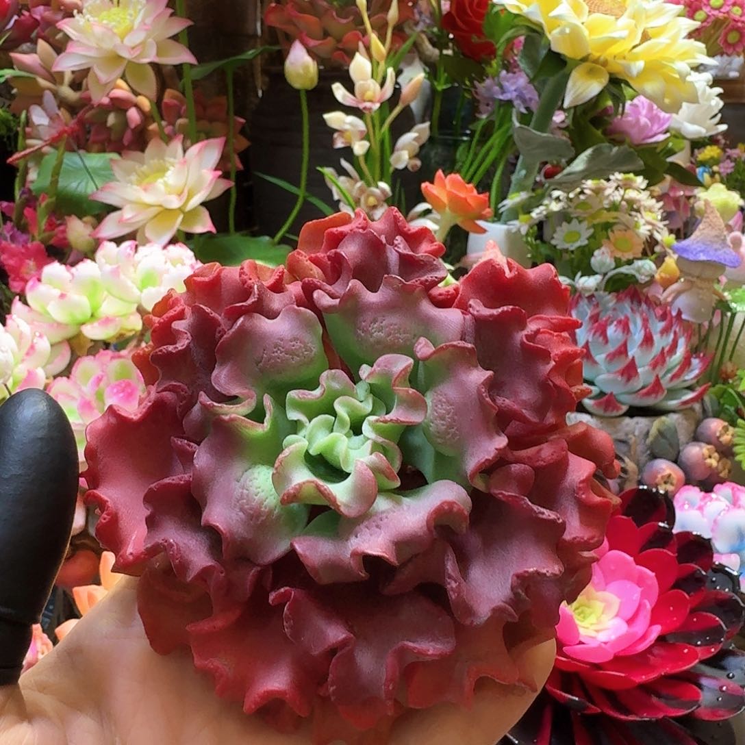 念*我也是刚看到的信息吗还是不相信了