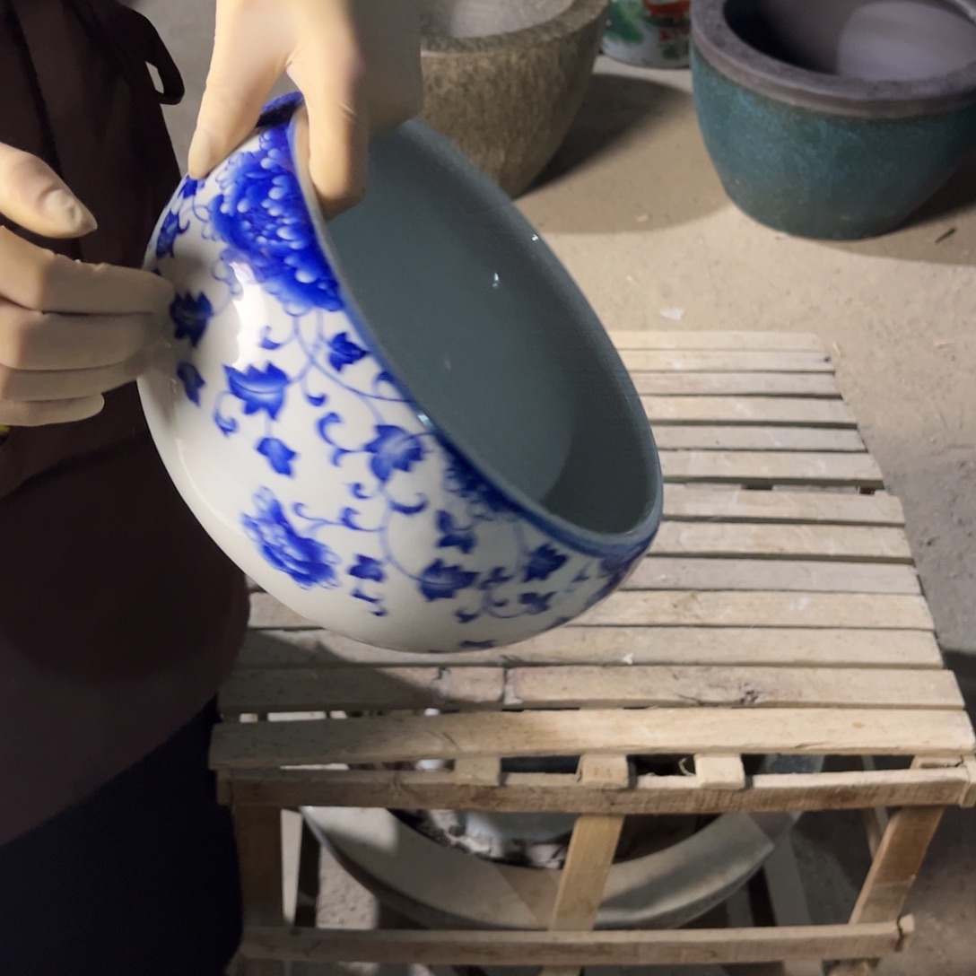 瓷片吊兰23.888888