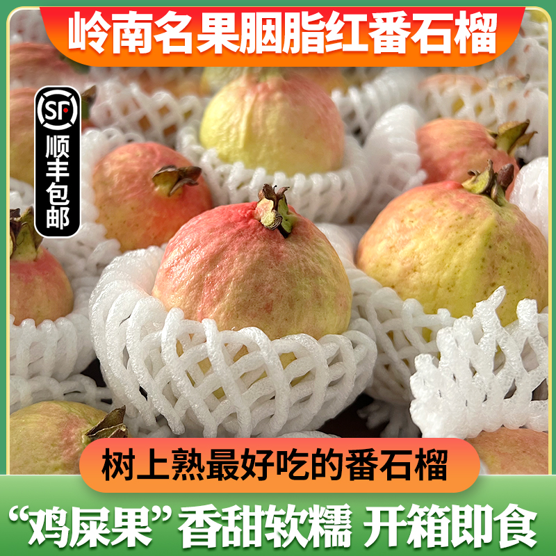正宗增城树上熟胭脂红番石榴香甜鸡屎果软糯低糖现摘水果顺丰包邮