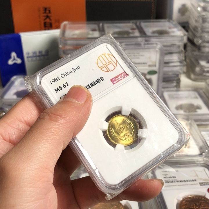 其他普通金属8101.67愿状态