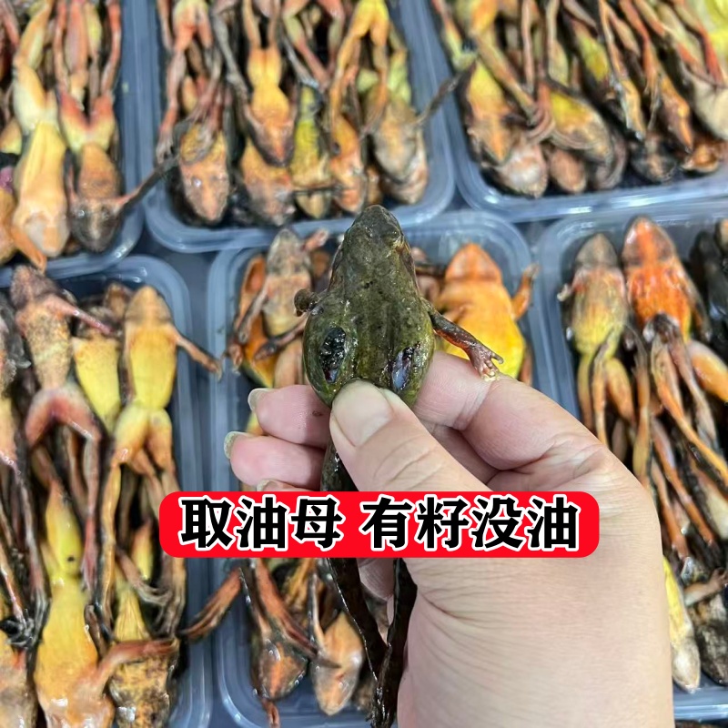 取油母蛤蟆有籽没油