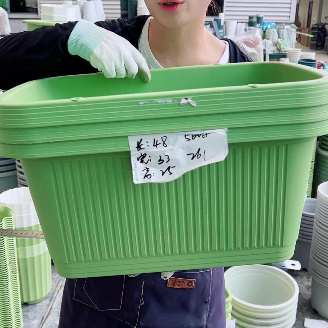 菜盆500#果绿3个无托
