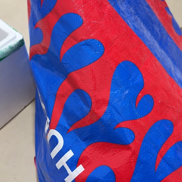 御***树扇子故给哈哈哈哈哈哈哈哈哈哈哈哈