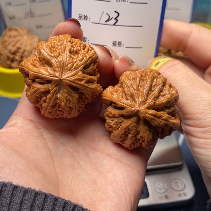 文玩核桃把件粗筋44