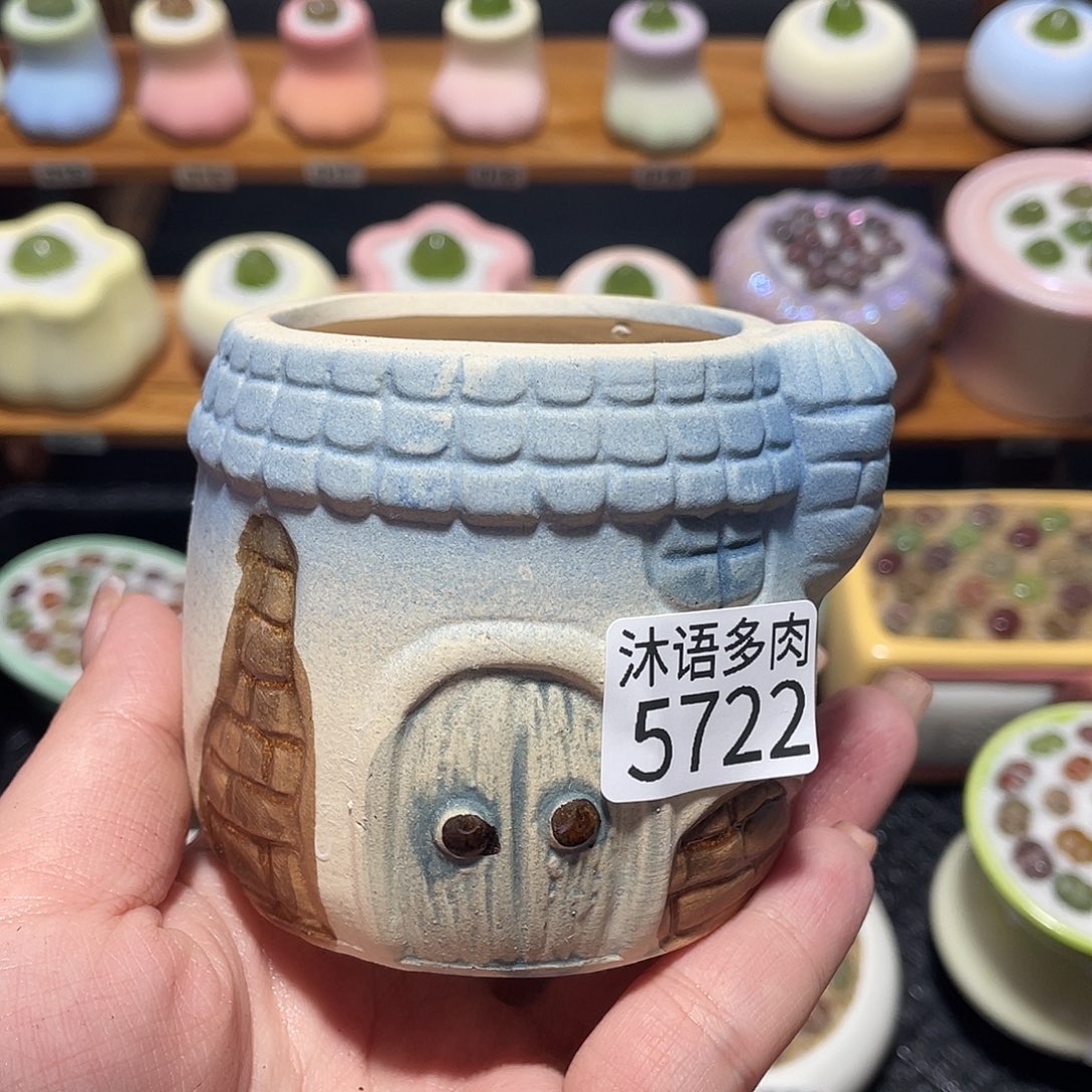 一***。带盆土植物 一物一拍5722