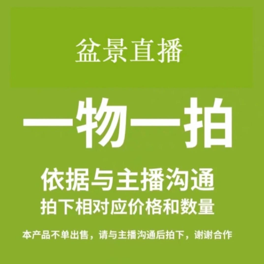 梅花盆景一物一拍，拍多少付多少