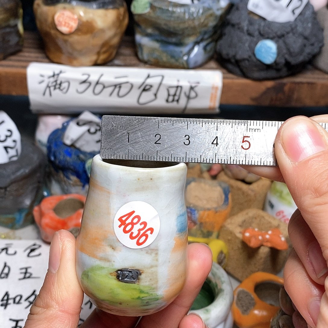 红陶拍5送一个小