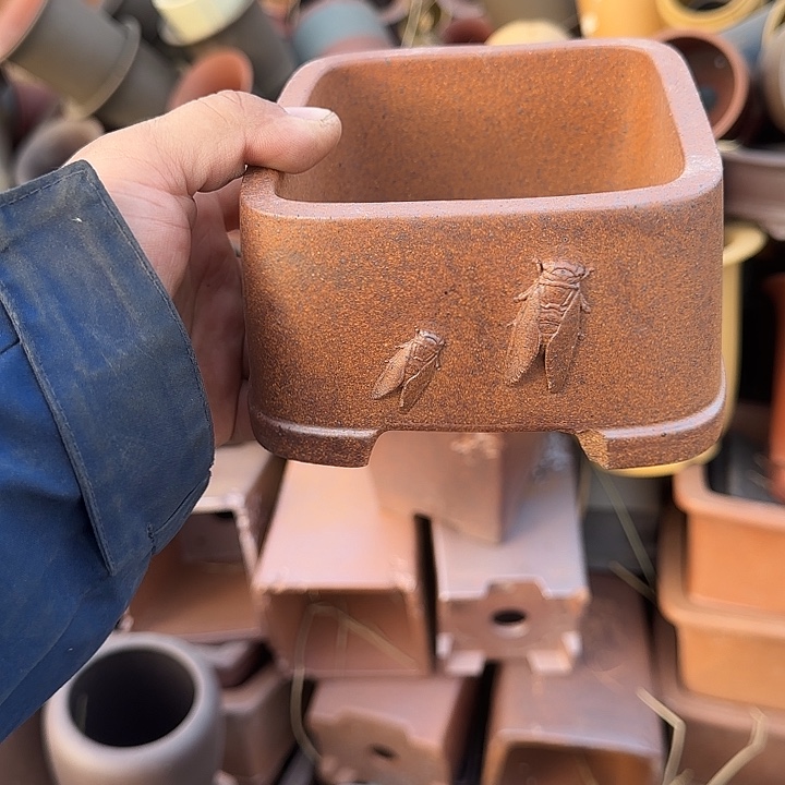 是的呀哈哈是这样哈哈不错了这个视频