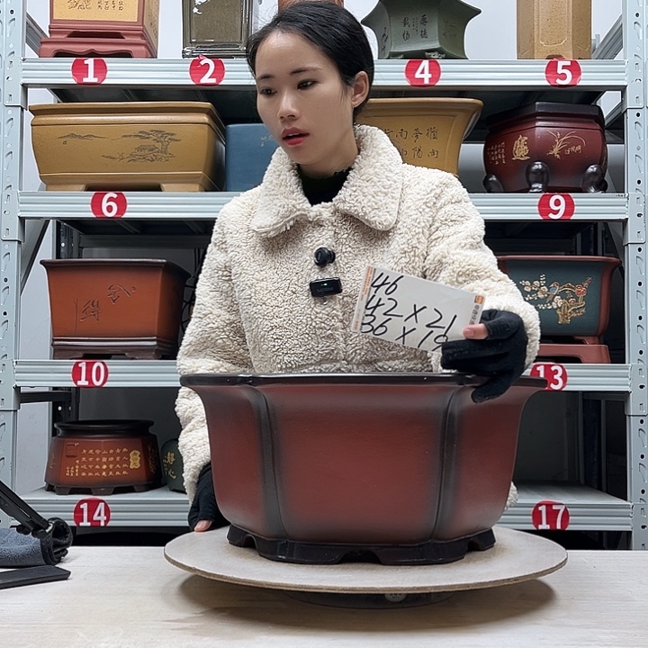 紫砂花盆紫砂花盆