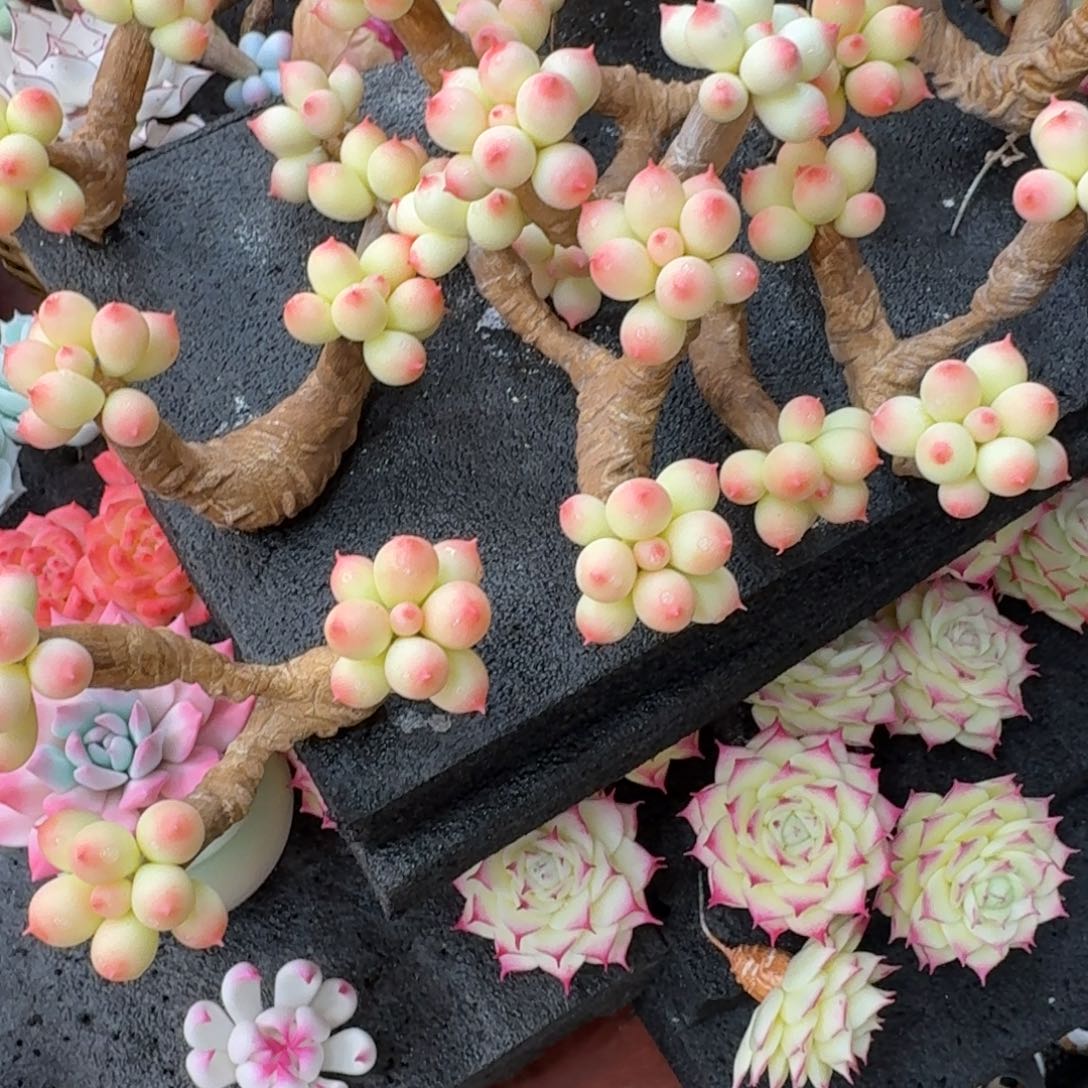 树脂70哦哦哦哦哦哦哦哦