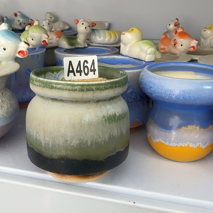 口6.5高8花盆花盆花盆花盆