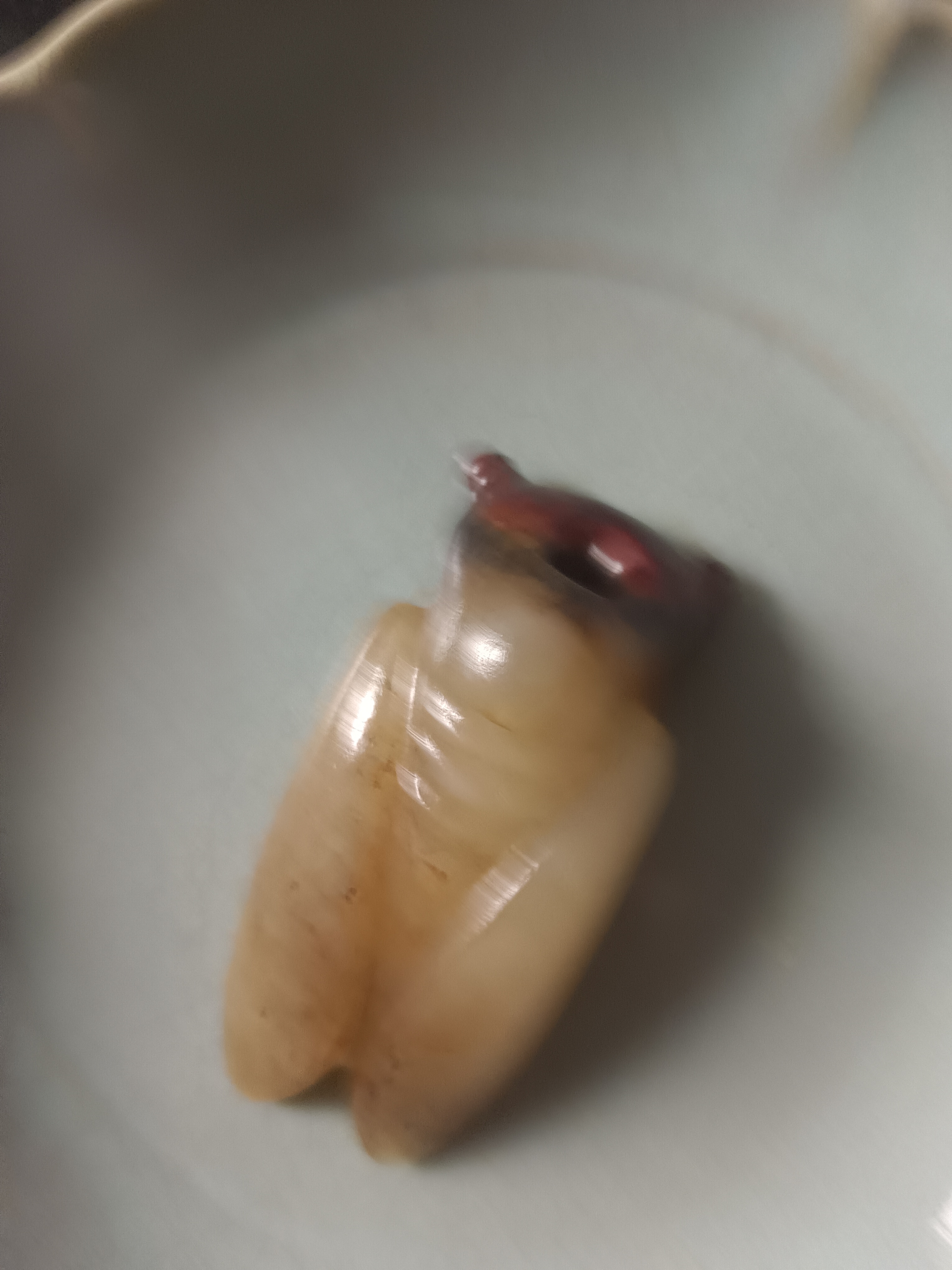陶瓷好好好好好好