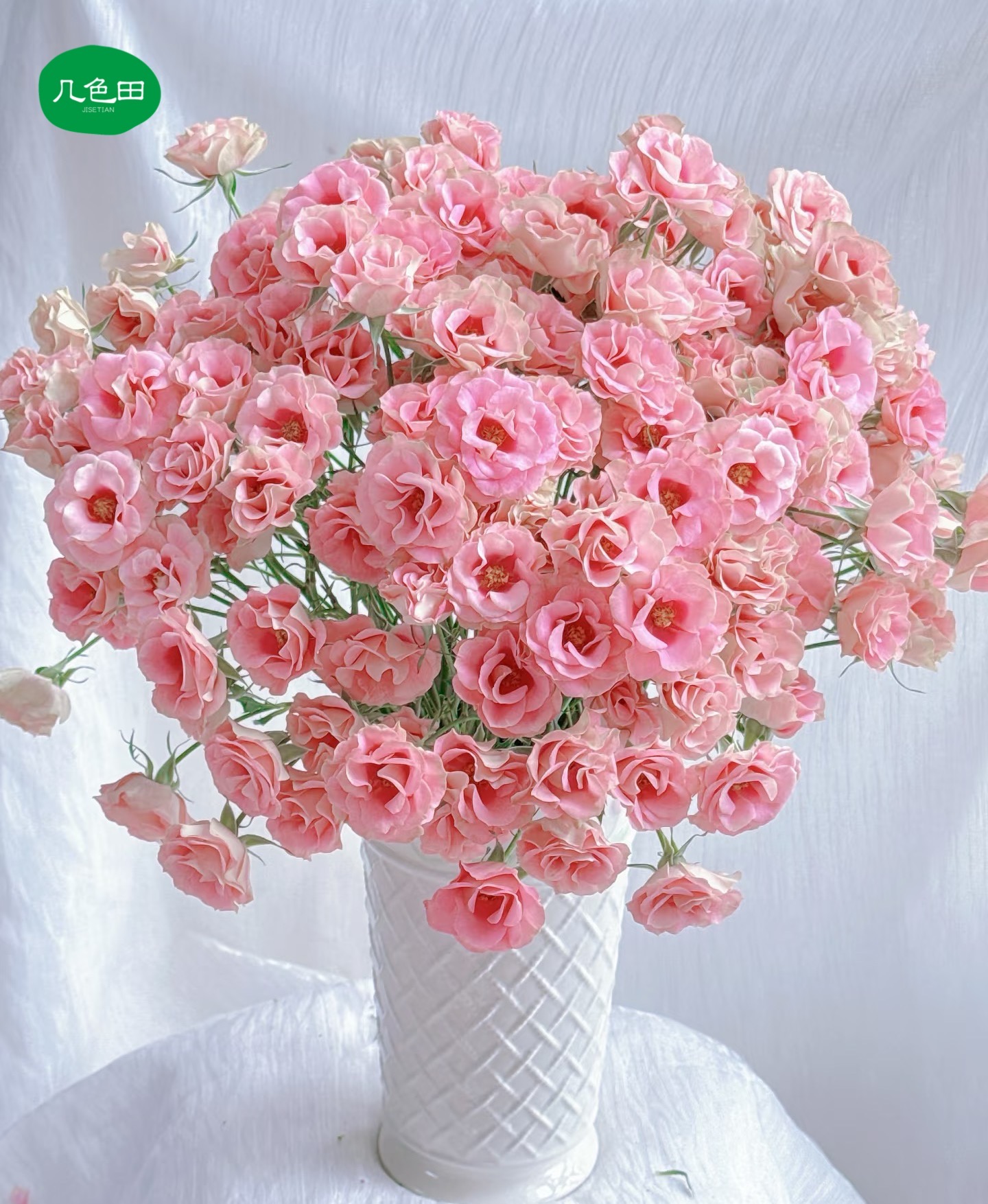 魔镜少女----稀有多头玫瑰云南直发鲜花云南花插花鲜花