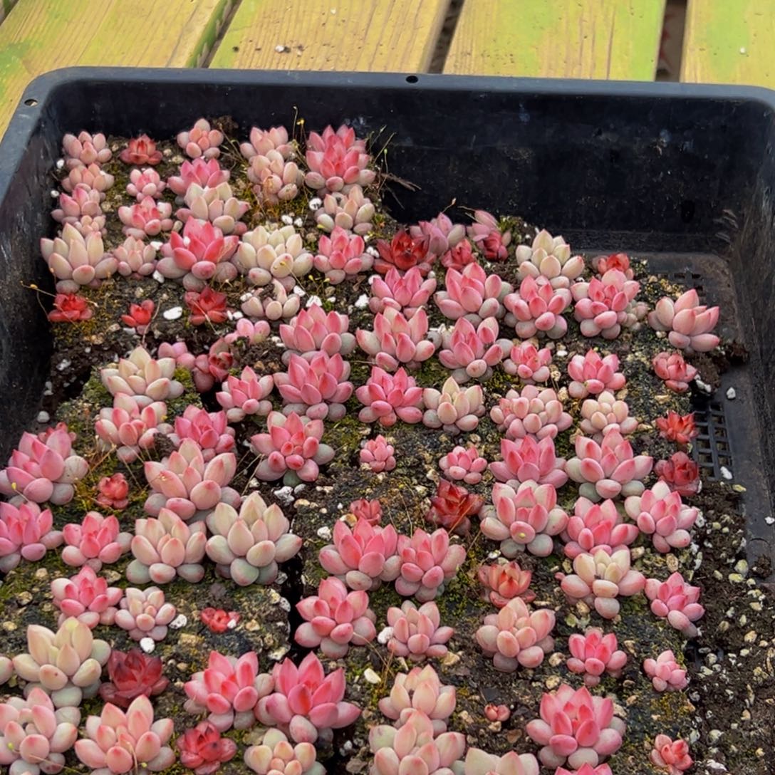 522大热的一天从早上