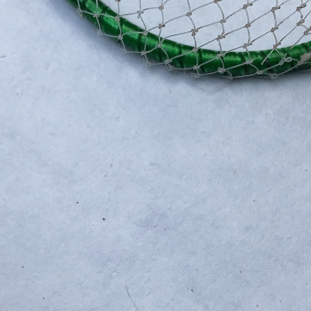 冬版精品鲁宁斗蟋蟀