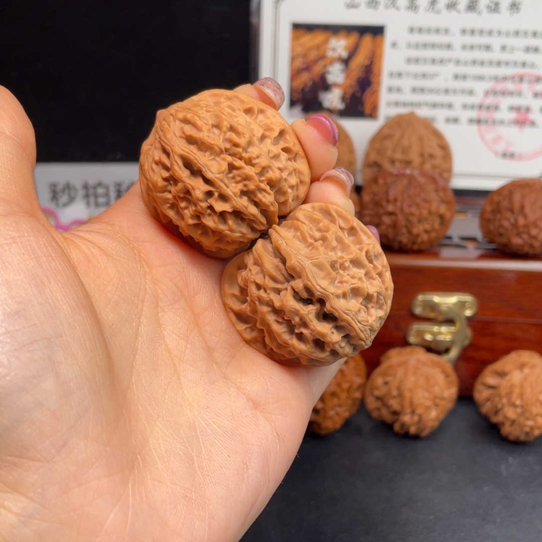 文玩核桃吊坠野生龙珠38尺（小秦闷）