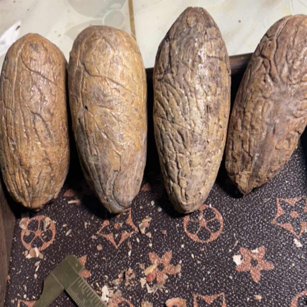 精品千眼菩提天然老果手把件脖挂车挂