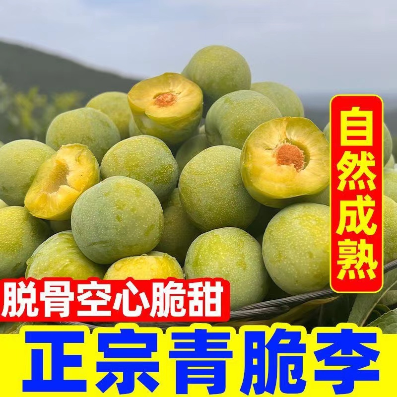 （顺丰京东冷链）正宗重庆四川脱骨青脆李新鲜水果酸甜爽口汶川 重庆市